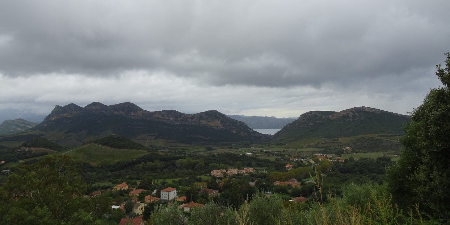 Mera vinodlingar på Korsika!!
